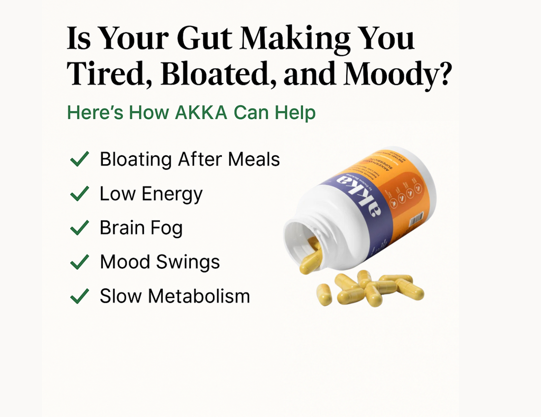 Is Your Gut Making You Tired, Bloated, and Moody? Here’s How AKKA Can Help